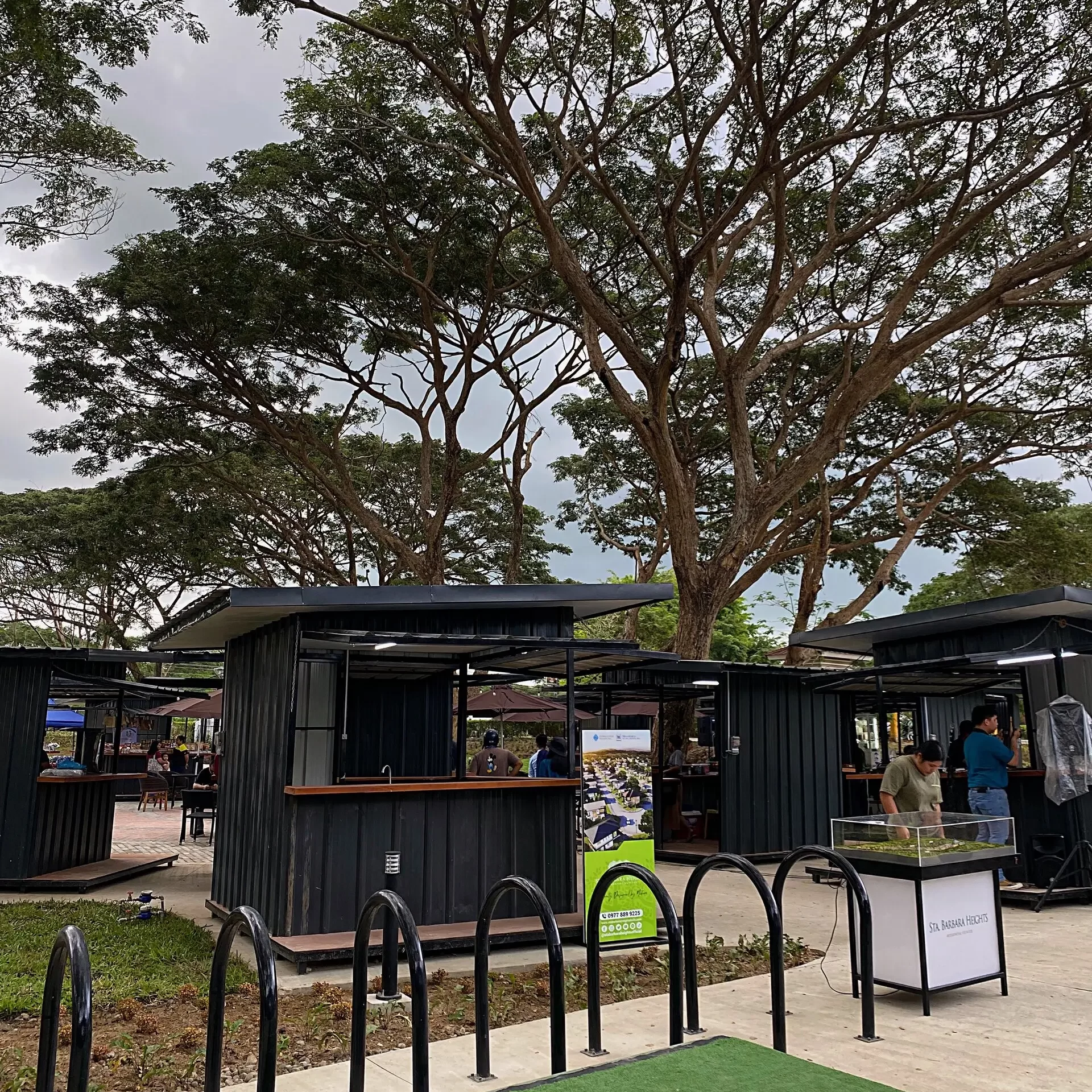 Lighting Up Your Senses