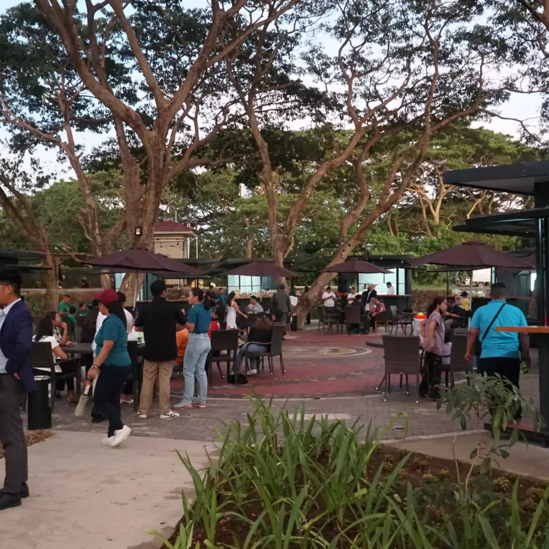 Lighting Up Your Senses