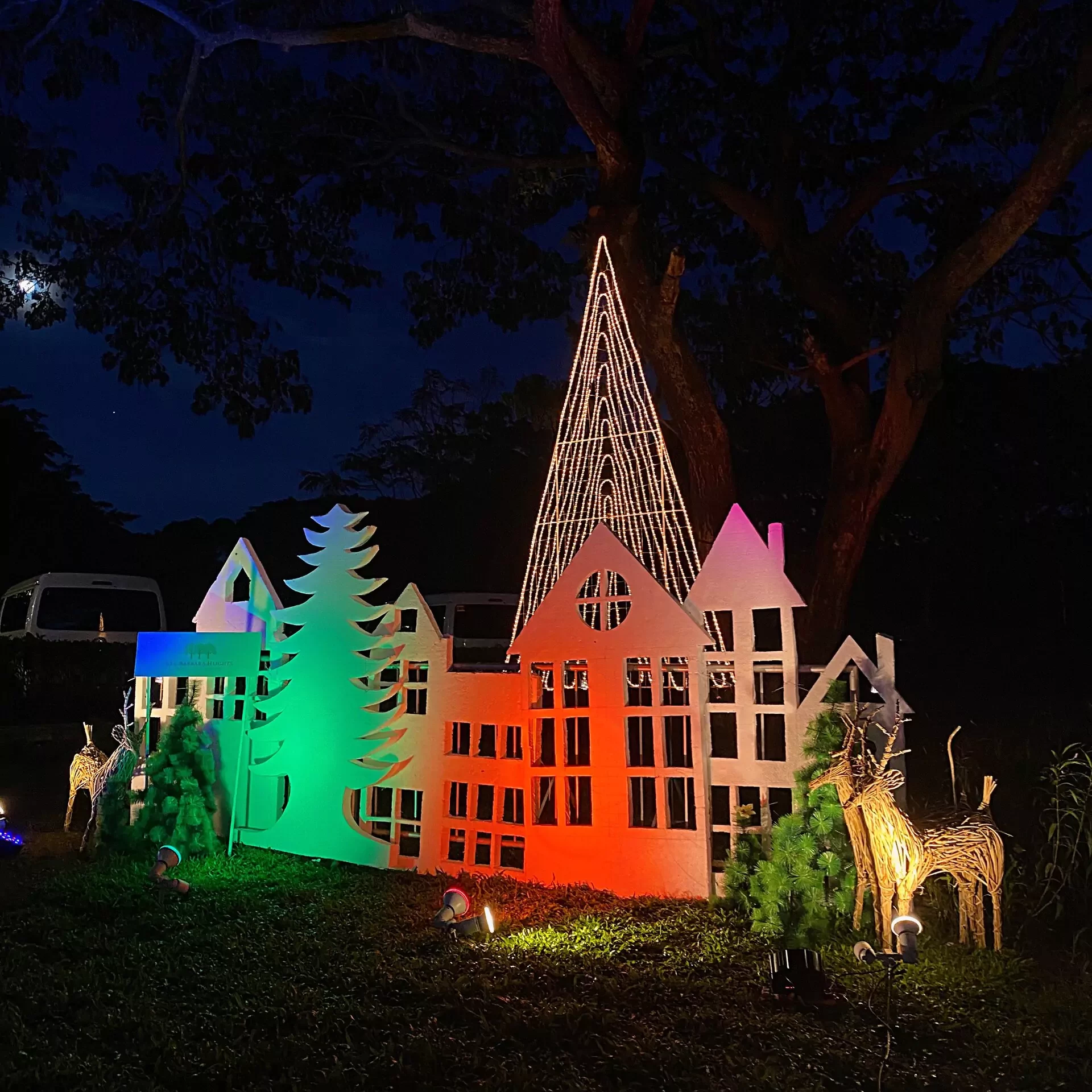 Lighting Up Your Senses