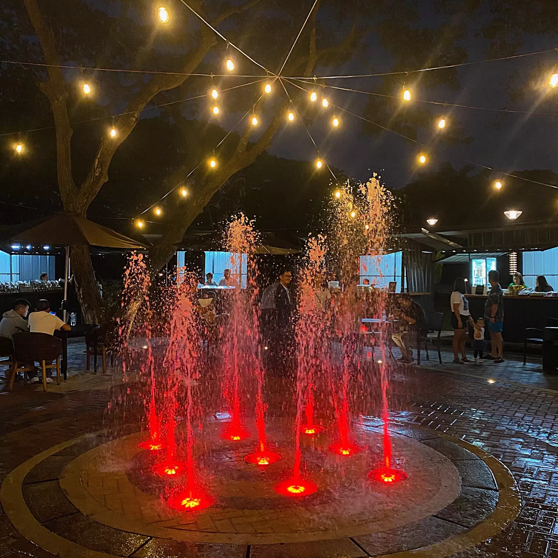 Lighting Up Your Senses