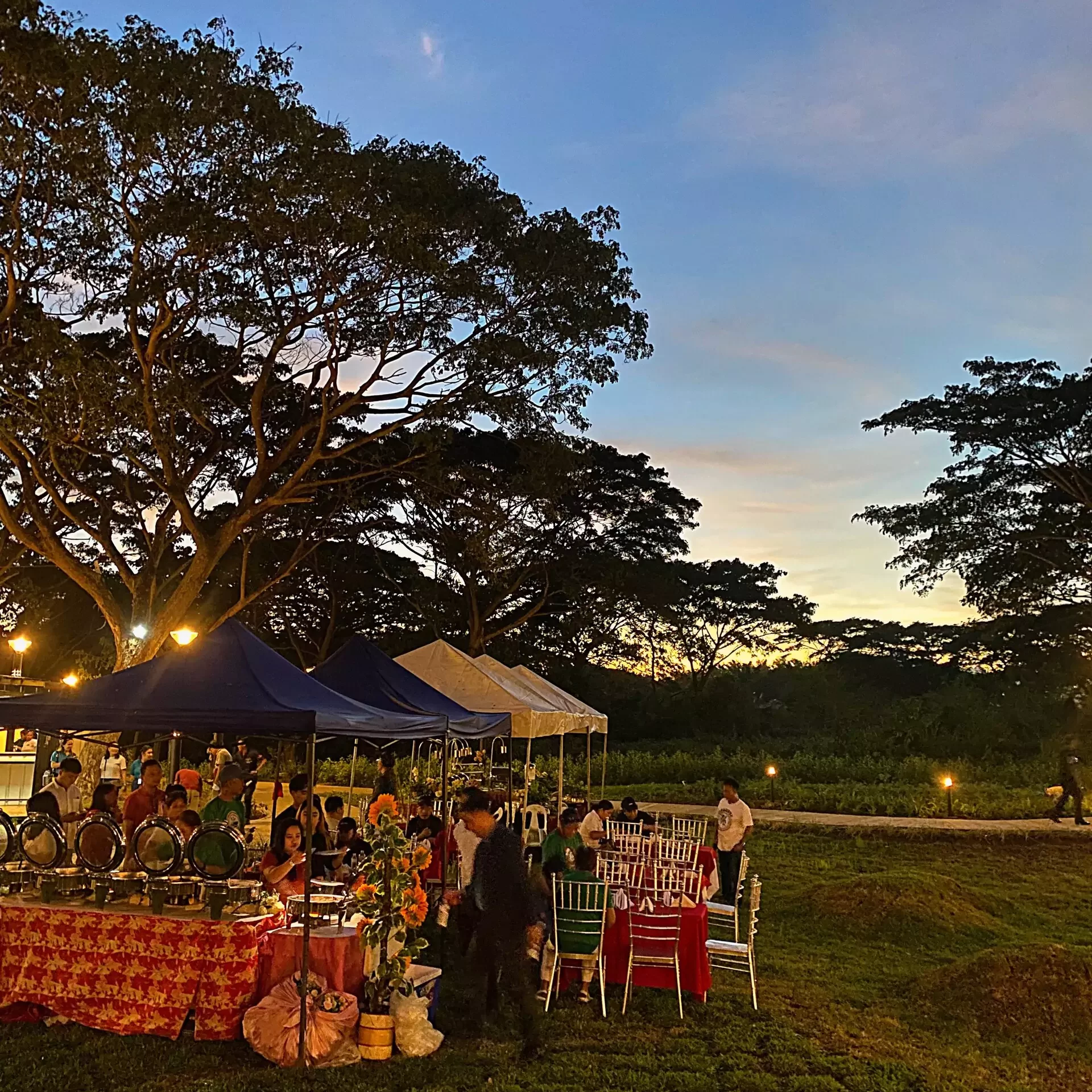 Lighting Up Your Senses